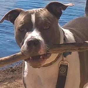 Meet your Posher, Ian